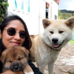 IMG_20200403_152659326