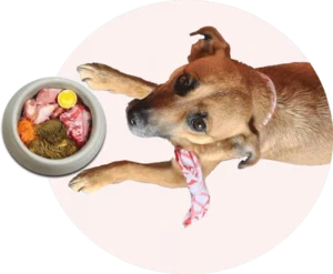 Alimentación natural